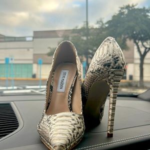 Steve Madden Rattlesnake stiletto heels. 6.5 so sexy!In perfect condition.